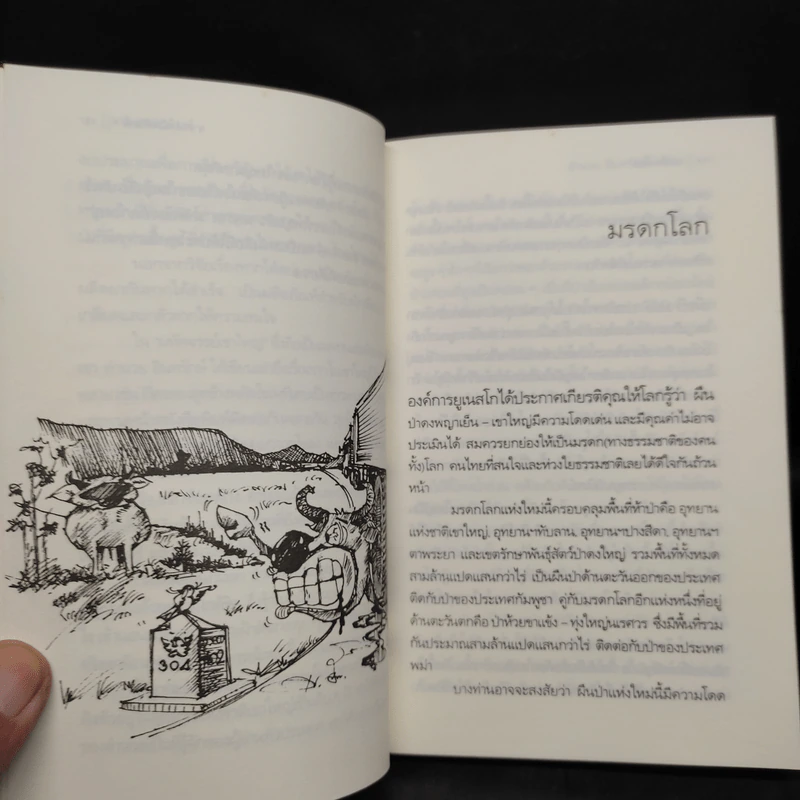มหัศจรรย์เขาใหญ่ - อำนวย อินทรักษ์ รูปที่ 6