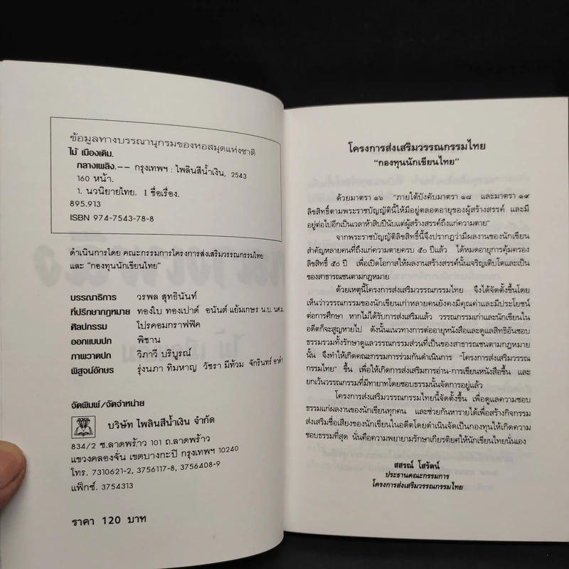 กลางเพลิง - ไม้เมืองเดิม รูปที่ 5
