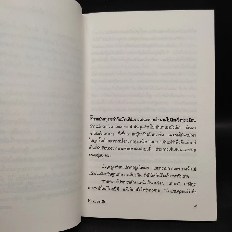 กลางเพลิง - ไม้เมืองเดิม รูปที่ 6