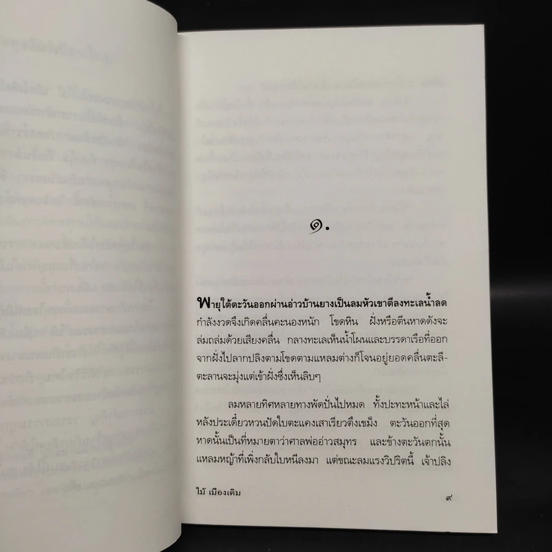 โป๊ะล้ม - ไม้ เมืองเดิม รูปที่ 6