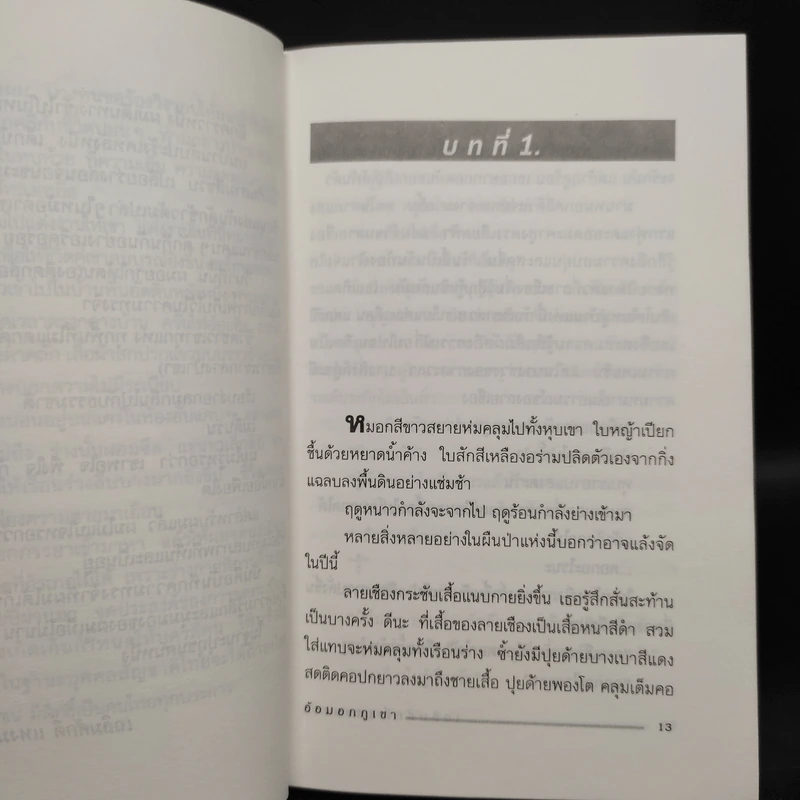 อ้อมอกภูเขา - เฉลิมศักดิ์ แหงมงาม รูปที่ 6