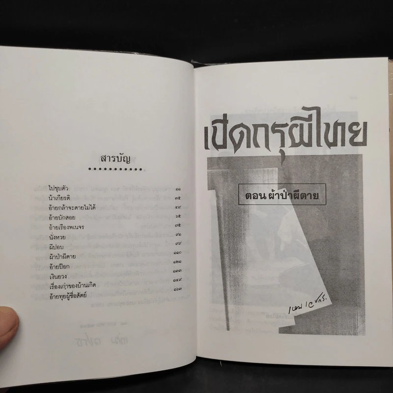 เปิดกรุผีไทย ตอน ผ้าป่าผีตาย - เหม เวชกร รูปที่ 6