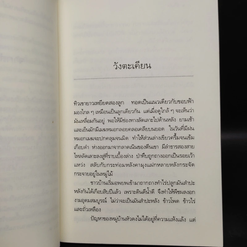 ผีในป่า - วัธนา บุญยัง รูปที่ 6