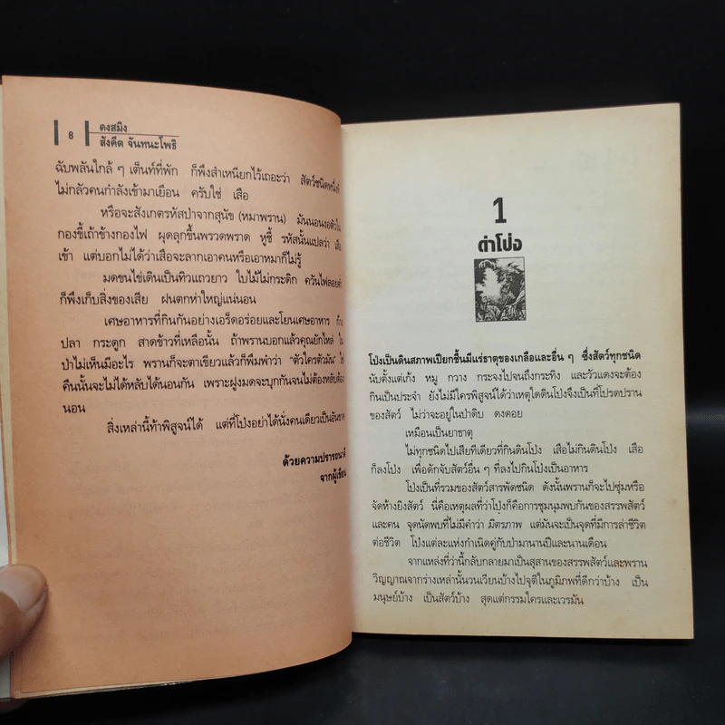 ดงสมิง - สังคีต จันทนะโพธิ รูปที่ 6