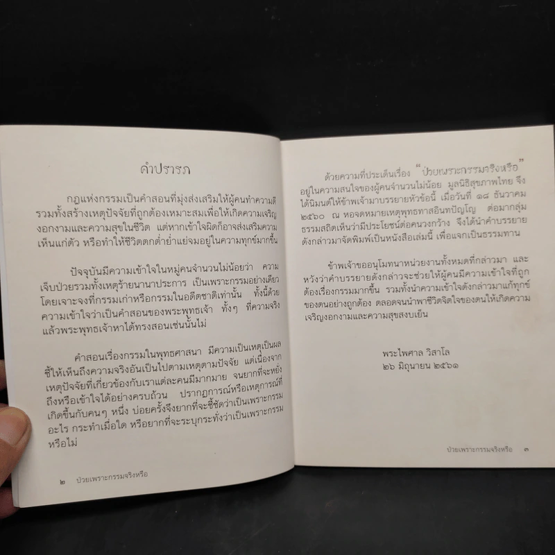 ป่วยเพราะกรรมจริงหรือ? - พระไพศาล วิสาโล รูปที่ 6
