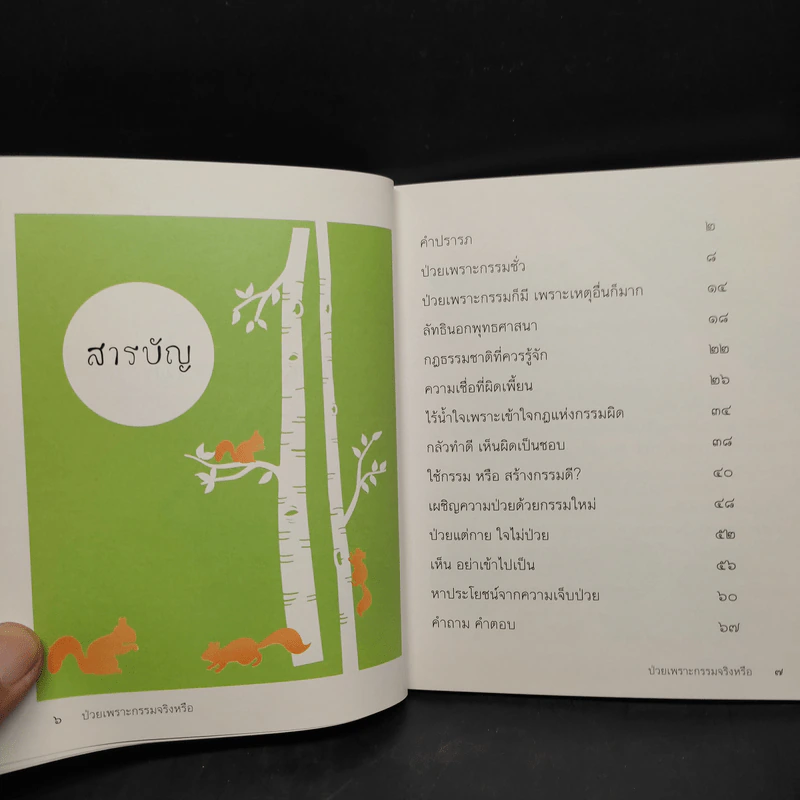 ป่วยเพราะกรรมจริงหรือ? - พระไพศาล วิสาโล รูปที่ 8