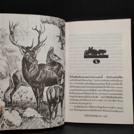 ใบไม้ร่วงในป่าใหญ่ - วัธนา บุญยัง รูปที่ 6