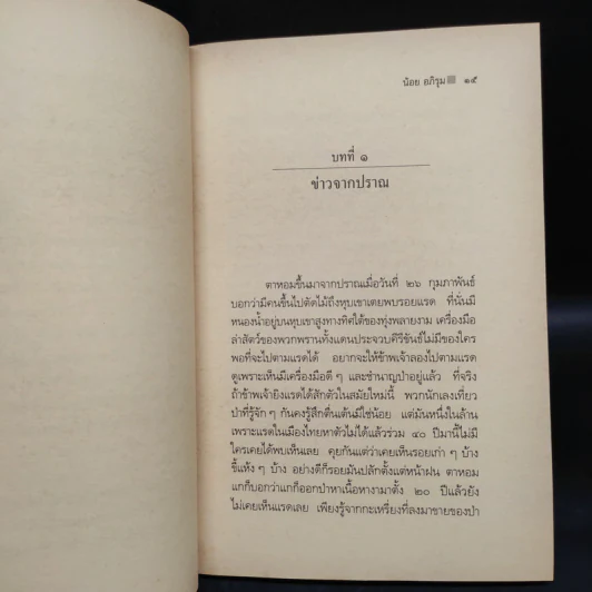 ทุ่งพลายงาม - น้อย อภิรุม รูปที่ 6