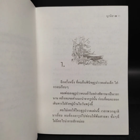 ญามิลา - ชินกิซ เอ็ตมาต๊อฟ รูปที่ 6