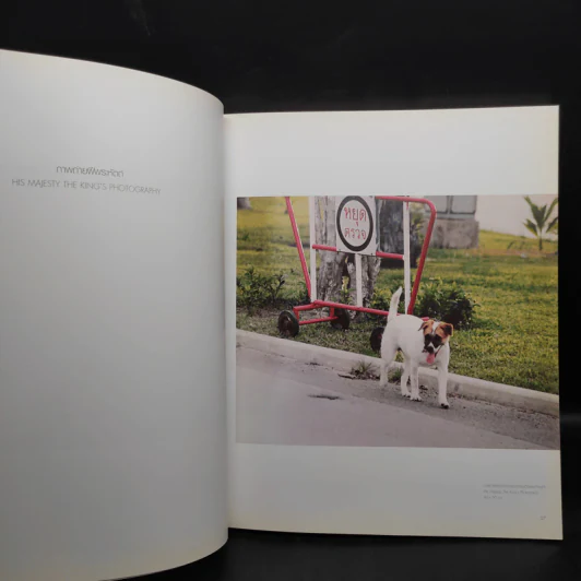 การแสดงศิลปกรรมแห่งชาติครั้งที่ 53 รูปที่ 6