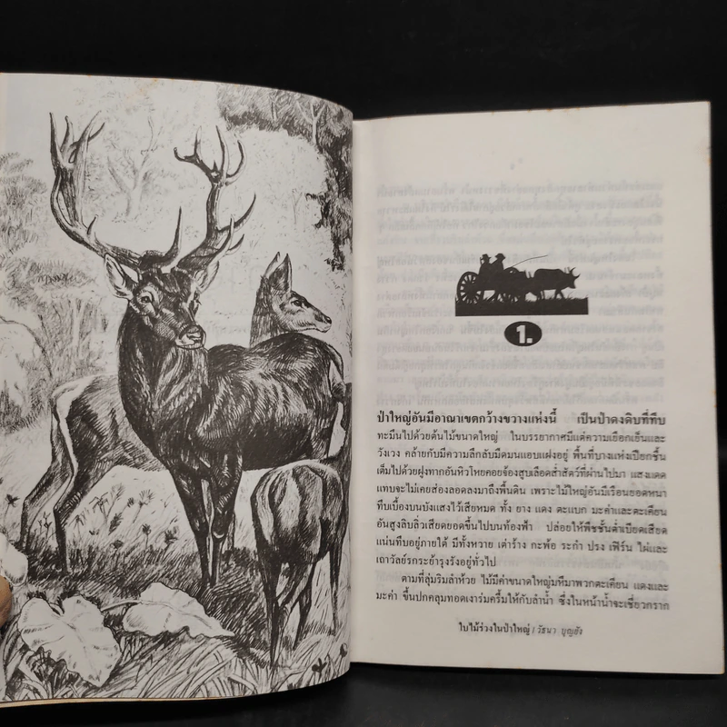 ใบไม้ร่วงในป่าใหญ่ - วัธนา บุญยัง รูปที่ 6