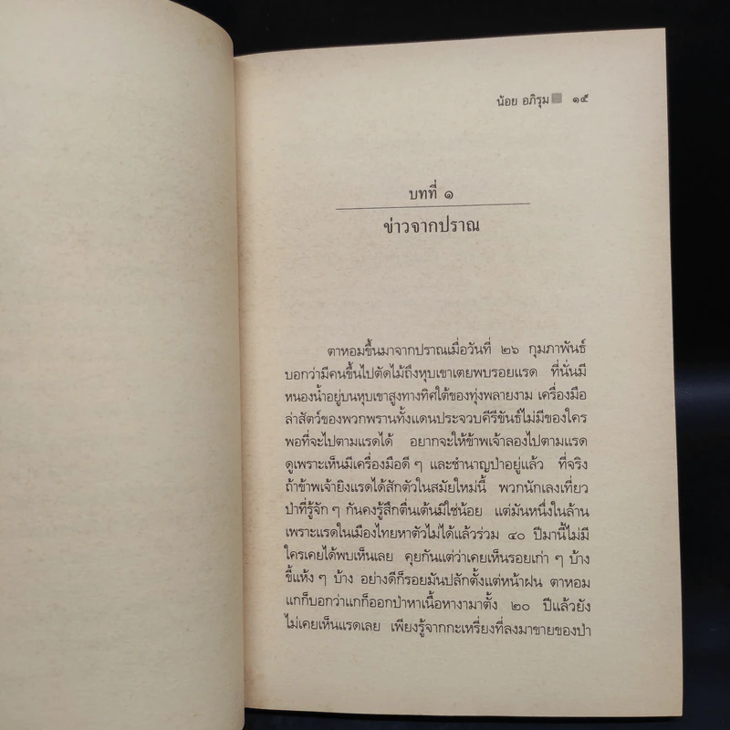 ทุ่งพลายงาม - น้อย อภิรุม รูปที่ 6