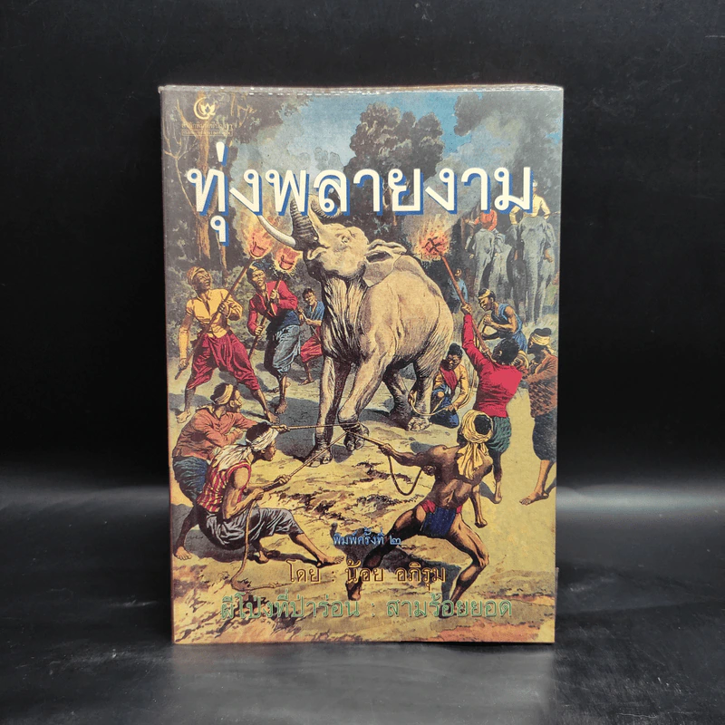 ทุ่งพลายงาม - น้อย อภิรุม รูปที่ 1
