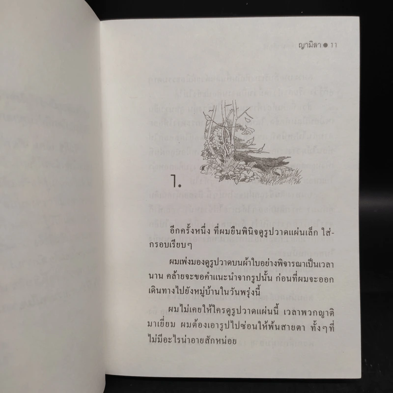 ญามิลา - ชินกิซ เอ็ตมาต๊อฟ รูปที่ 6