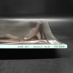 Fine Art June 2011 Volume 8 No.80 รูปที่ 3