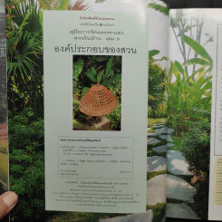 คู่มือการจัดและตกแต่ง สวนในบ้าน เล่ม 9 องค์ประกอบของสวน รูปที่ 5