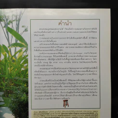 คู่มือการจัดและตกแต่ง สวนในบ้าน เล่ม 9 องค์ประกอบของสวน รูปที่ 6