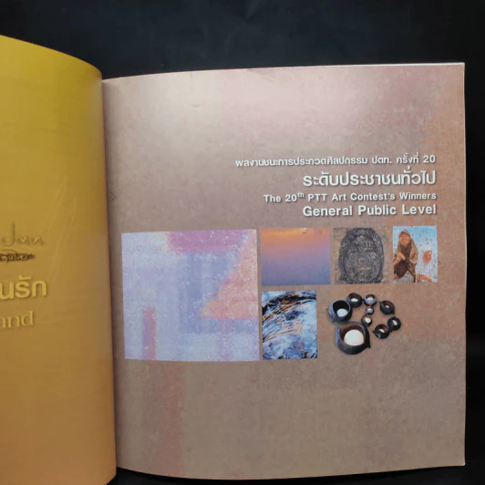 แผ่นดินนี้...ที่ฉันรัก การประกวดผลงานศิลปกรรม ปตท.ครั้งที่ 20 รูปที่ 6