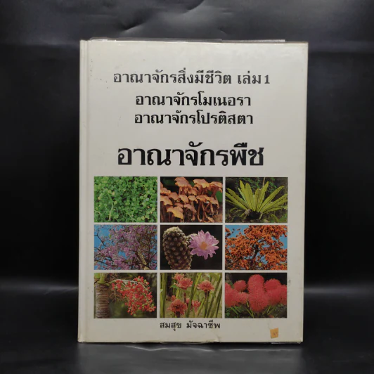 อาณาจักรสิ่งมีชีวิต เล่ม 1 อาณาจักรโมเนอรา อาณาจักรโปรติสตา อาณาจักรพืช - สมสุข มัจฉาชีพ รูปที่ 1