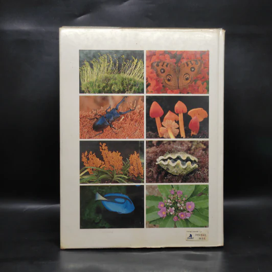 ชุดธรรมชาติศึกษา สารานุกรมพืชและสัตว์ เล่ม 2 รูปที่ 2