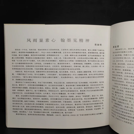 ศิลปะการวาดภาพสีน้ำ ภาษาจีน รูปที่ 5