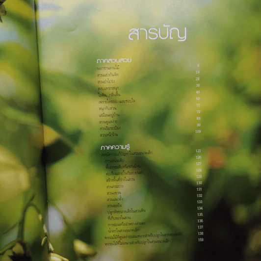 สวนในบ้าน เล่ม 12 สวนขนาดเล็ก รูปที่ 7