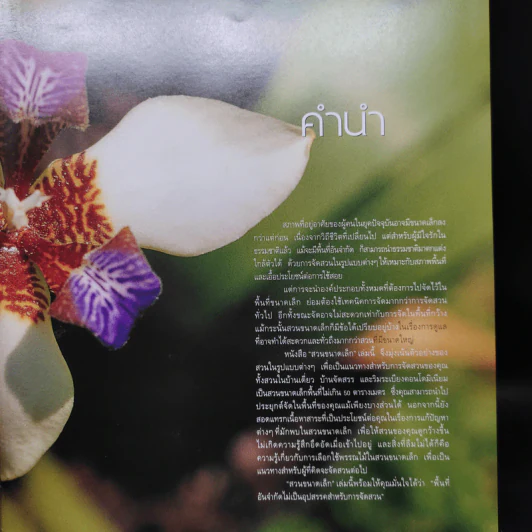 สวนในบ้าน เล่ม 12 สวนขนาดเล็ก รูปที่ 6