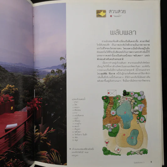 ไอเดียในสวน 2 สวนในบ้านเล่ม 11 รูปที่ 8