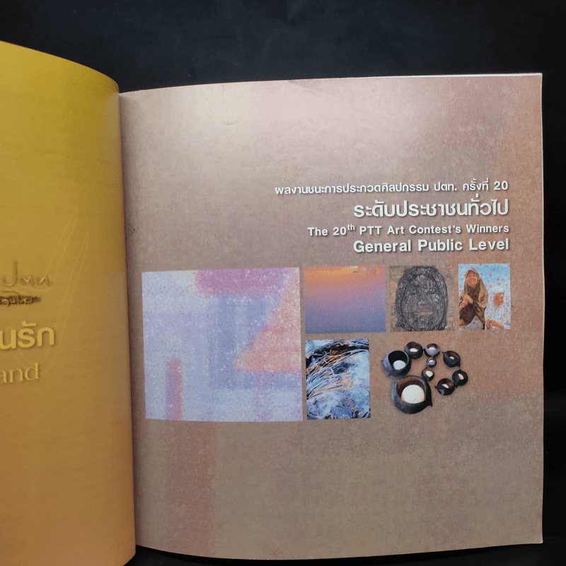 แผ่นดินนี้...ที่ฉันรัก การประกวดผลงานศิลปกรรม ปตท.ครั้งที่ 20 รูปที่ 6
