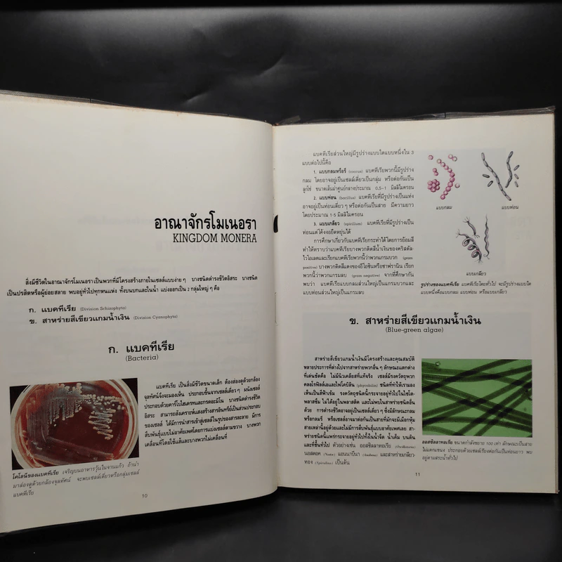อาณาจักรสิ่งมีชีวิต เล่ม 1 อาณาจักรโมเนอรา อาณาจักรโปรติสตา อาณาจักรพืช - สมสุข มัจฉาชีพ รูปที่ 7