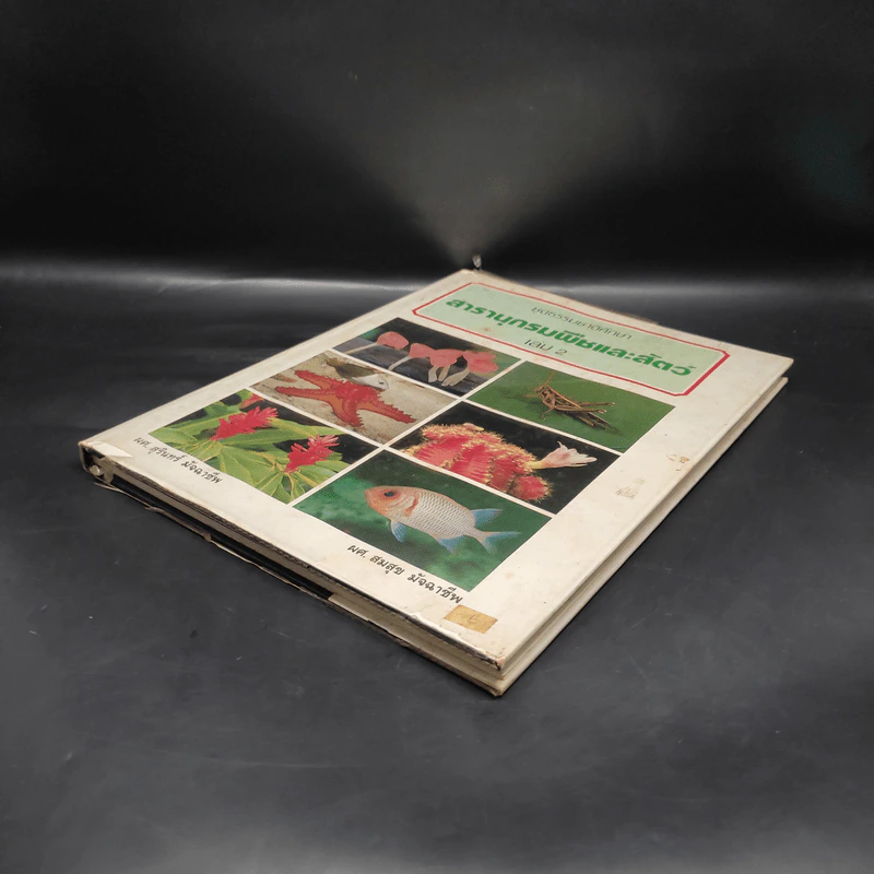 ชุดธรรมชาติศึกษา สารานุกรมพืชและสัตว์ เล่ม 2 รูปที่ 4