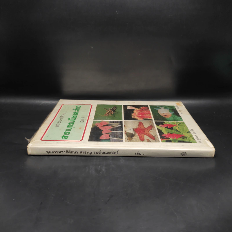ชุดธรรมชาติศึกษา สารานุกรมพืชและสัตว์ เล่ม 2 รูปที่ 3