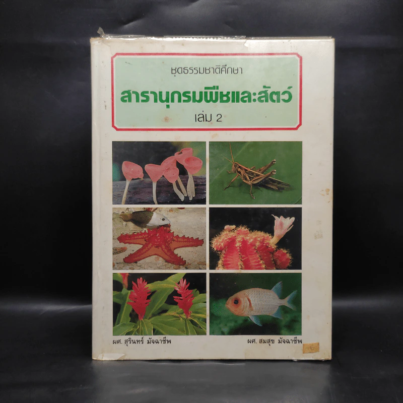 ชุดธรรมชาติศึกษา สารานุกรมพืชและสัตว์ เล่ม 2 รูปที่ 1