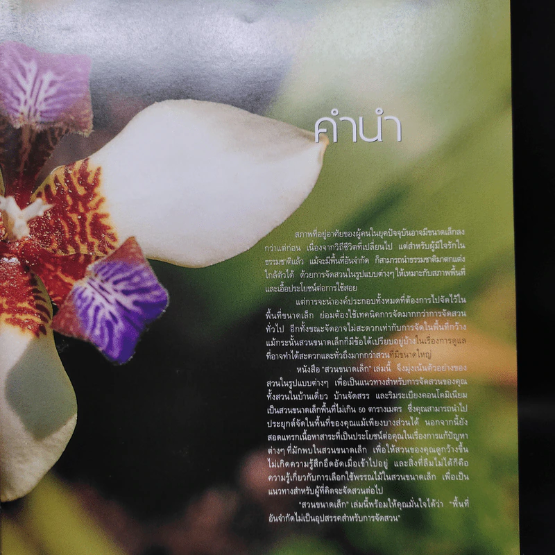 สวนในบ้าน เล่ม 12 สวนขนาดเล็ก รูปที่ 6