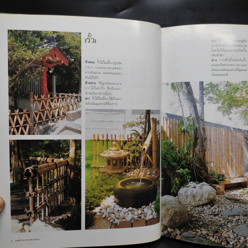 คู่มือการจัดและตกแต่ง สวนในบ้าน เล่ม 9 องค์ประกอบของสวน รูปที่ 8