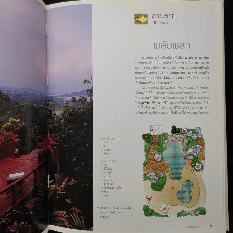 ไอเดียในสวน 2 สวนในบ้านเล่ม 11 รูปที่ 8