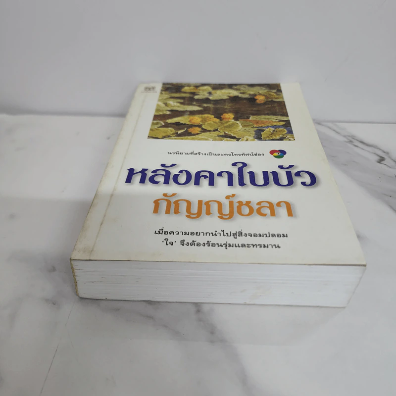 หลังคาใบบัว - กัญญ์ชลา รูปที่ 5