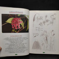 สารานุกรมไม้ประดับในประเทศไทย เล่ม 1 รูปที่ 7
