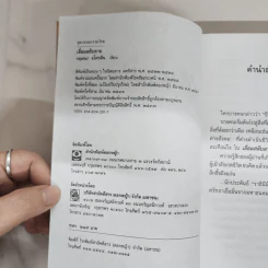 เลื่อมสลับลาย - กฤษณา อโศกสิน รูปที่ 7