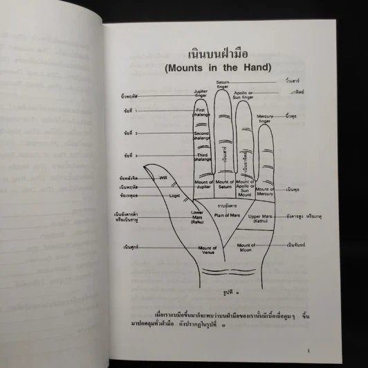 ลายมือ ลายแทงชีวิต - ดร.สุรพล ธีรรัตนพันธุ์ รูปที่ 9