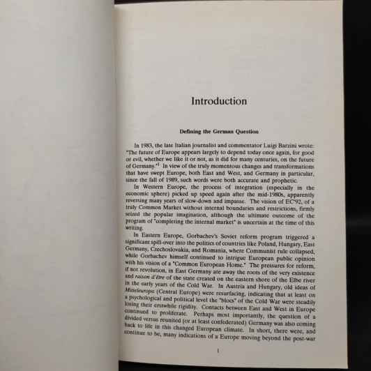 The German Question - Dirk Verheyen รูปที่ 6