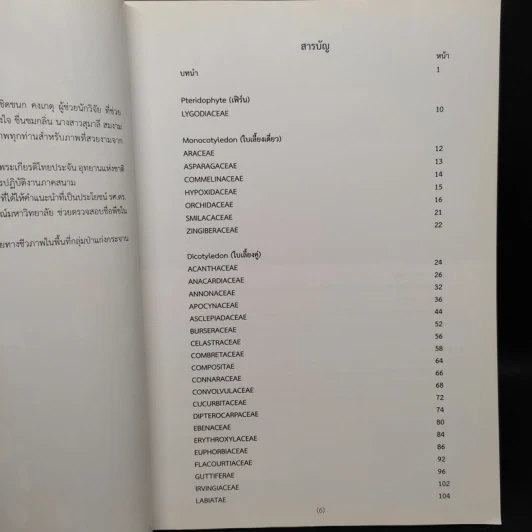 ป่าเต็งรัง แม่น้ำภาชี รูปที่ 6