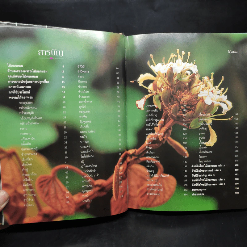 ไม้ดอกหอม เล่ม 3 - ดร.ปิยะ เฉลิมกลิ่น รูปที่ 6