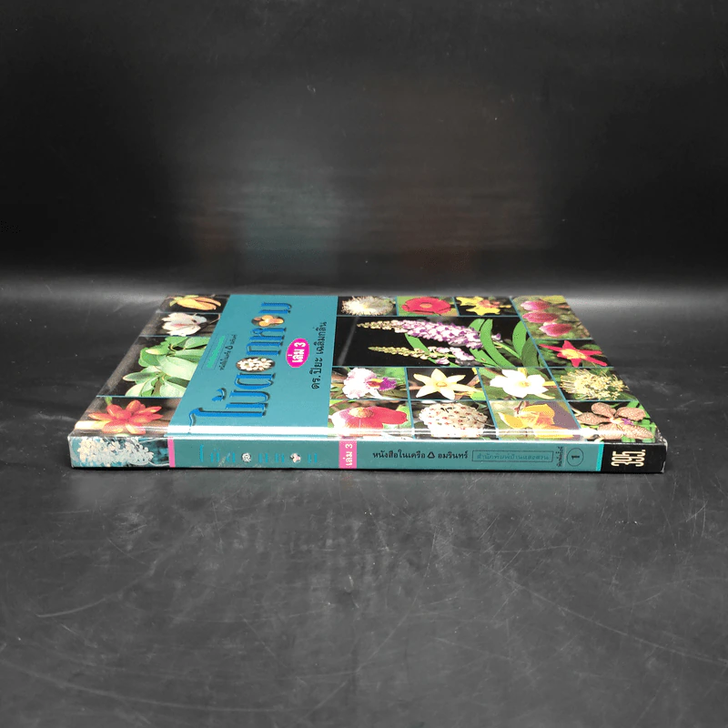 ไม้ดอกหอม เล่ม 3 - ดร.ปิยะ เฉลิมกลิ่น รูปที่ 3