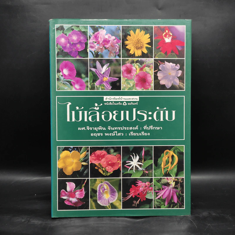 ไม้เลื้อยประดับ - ผศ.จิรายุพิน จันทรประสงค์, อฤชร พงษ์ไสว รูปที่ 1
