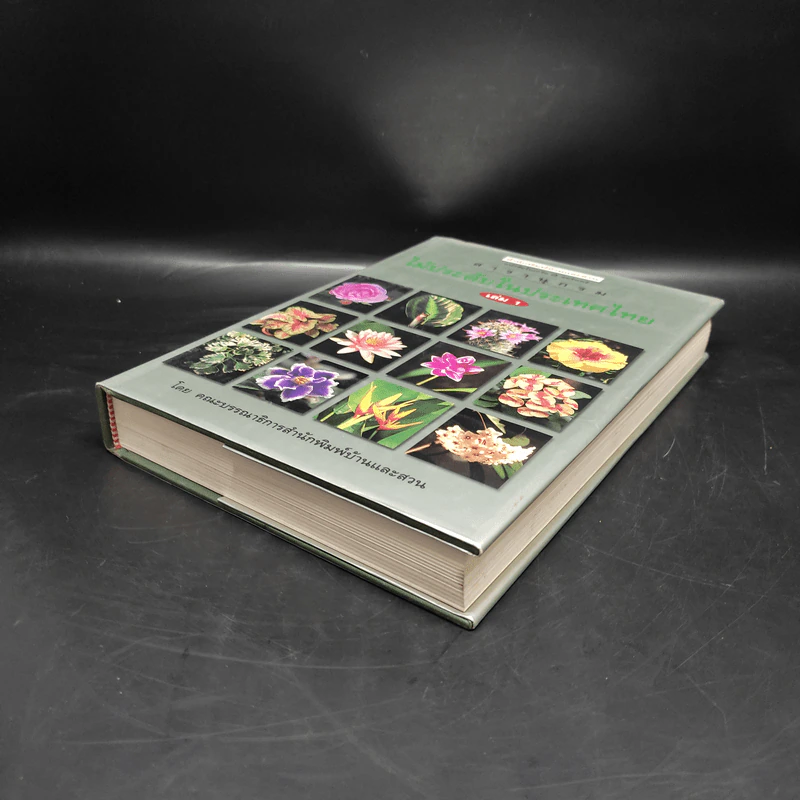 สารานุกรมไม้ประดับในประเทศไทย เล่ม 1 รูปที่ 4