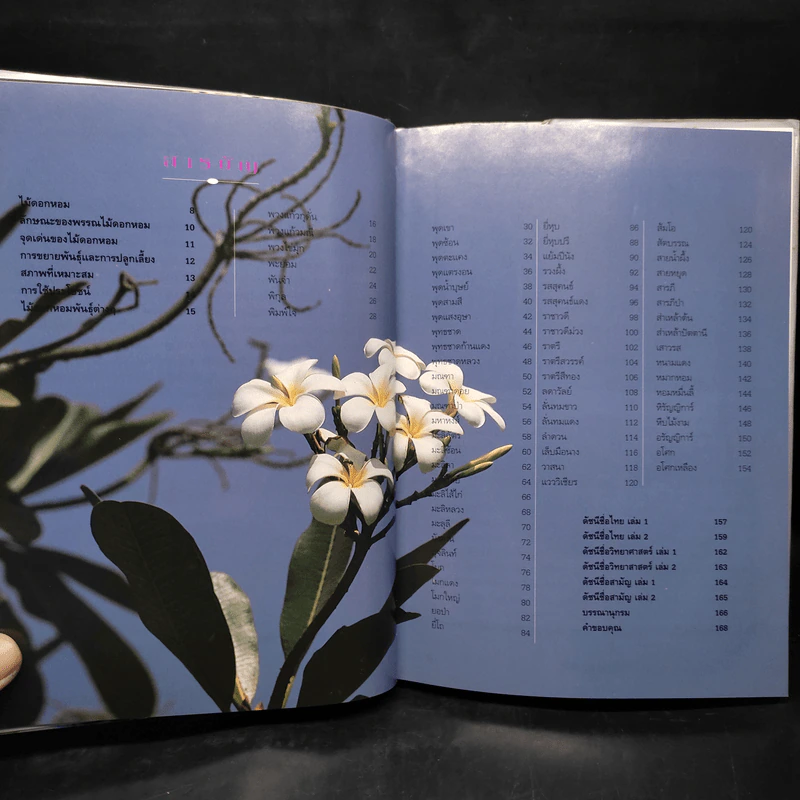 ไม้ดอกหอม เล่ม 2 - ดร.ปิยะ เฉลิมกลิ่น รูปที่ 6