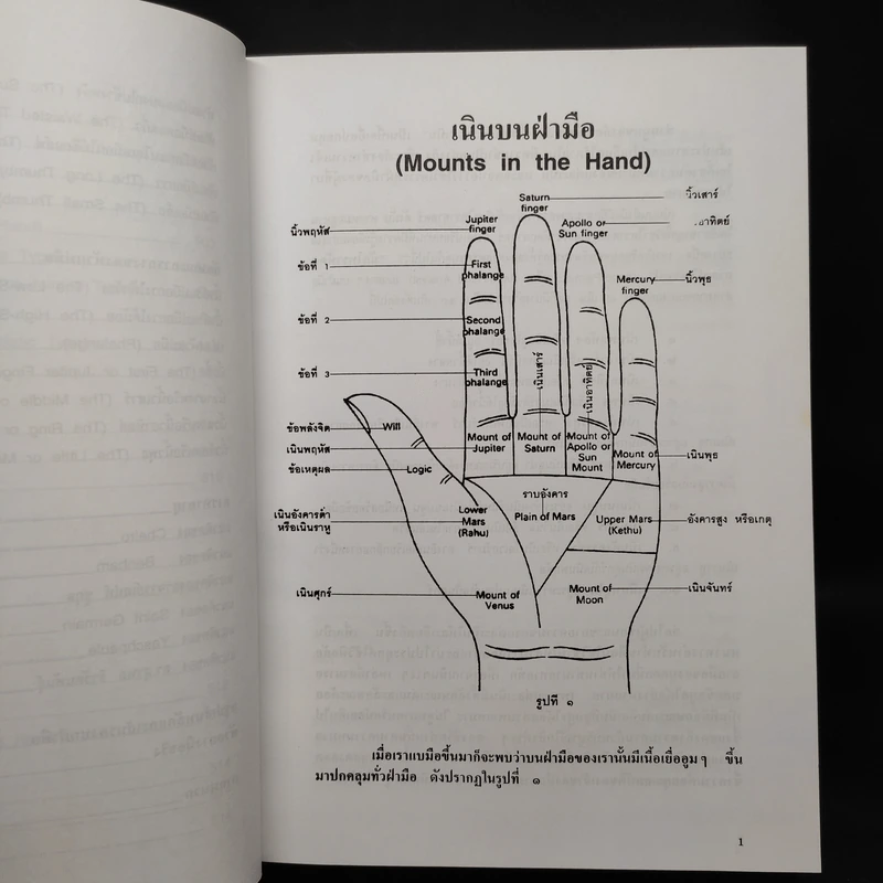 ลายมือ ลายแทงชีวิต - ดร.สุรพล ธีรรัตนพันธุ์ รูปที่ 9