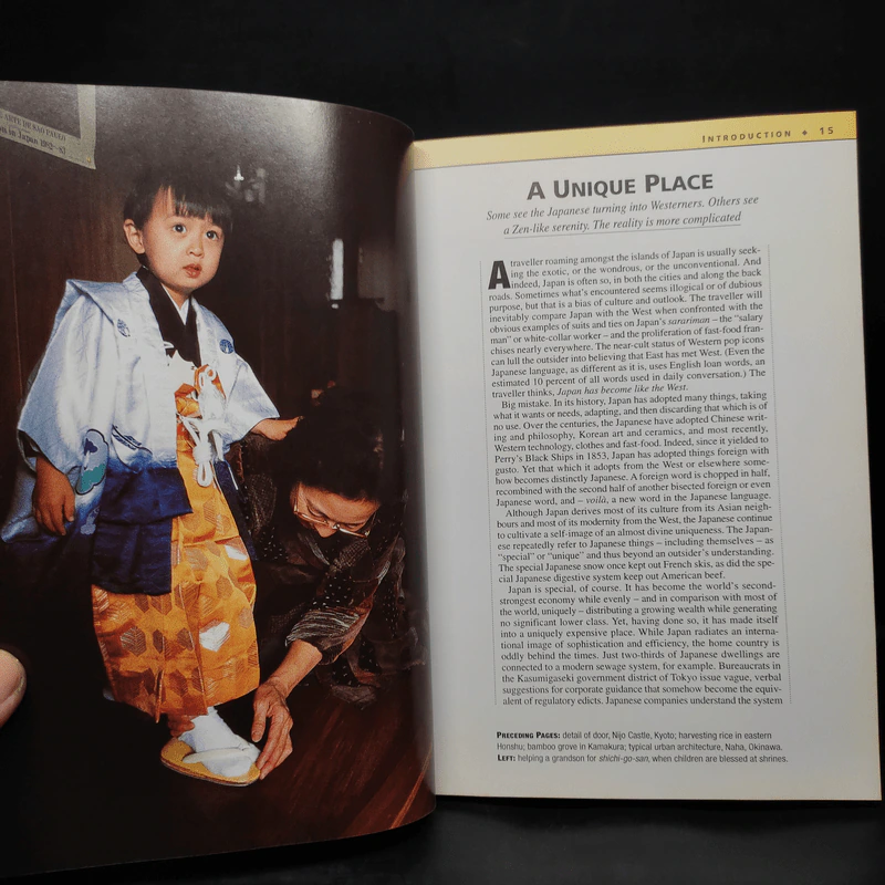 Insight Guides Japan รูปที่ 7