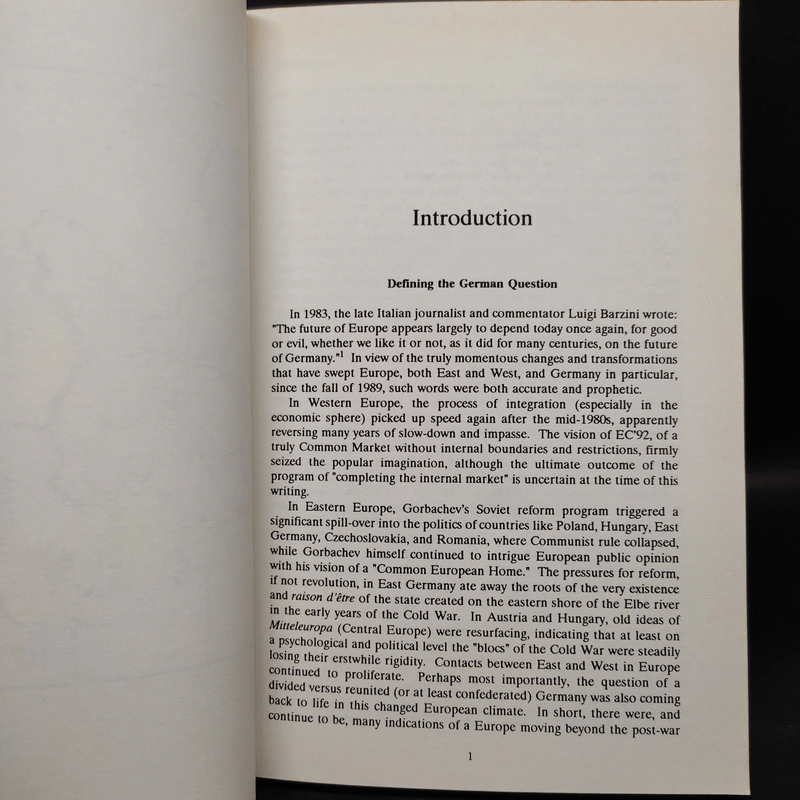 The German Question - Dirk Verheyen รูปที่ 6